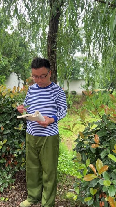 《柳樹下的半生淚》劇照