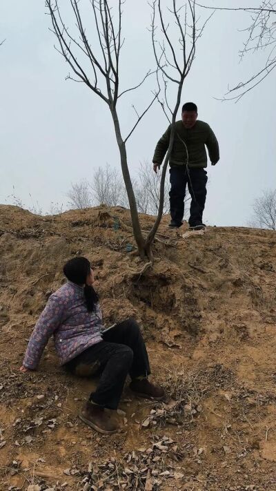 《半生緣，一生情》劇照