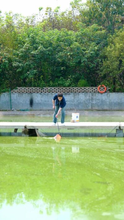 《全村笑我养河豚，我靠它赚疯了》剧照