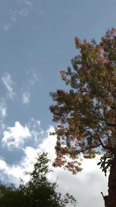 《傾盡一生只為你》劇照
