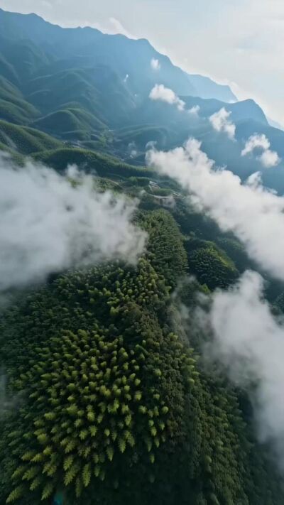 《鄉野小賣部，百獸都是我客戶》劇照