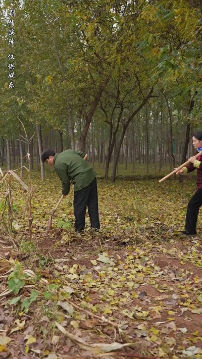 《寡婦的春天》劇照