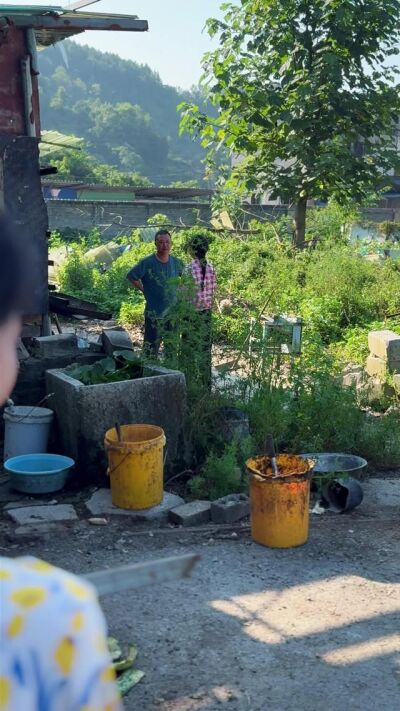 《替姐出嫁，我成了婆家團寵》劇照