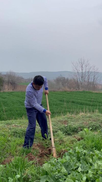 《大姐慧芳》劇照