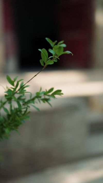 《暖陽歸途》劇照