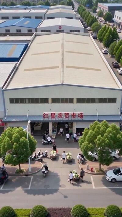 《少年热血报师恩》剧照
