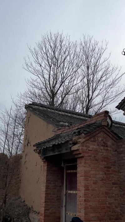 《大姐慧芳》劇照