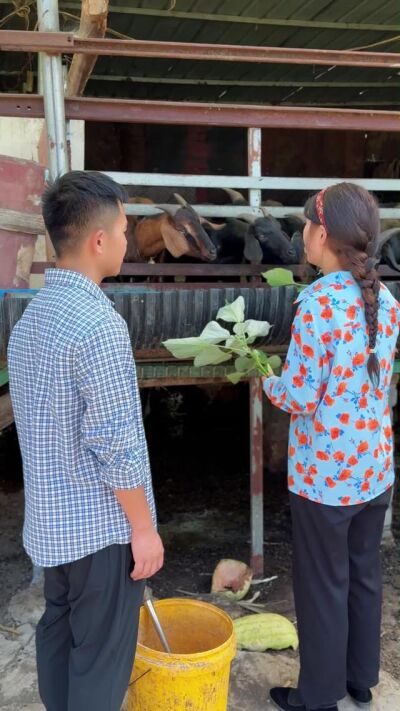 《替姐出嫁，我成了婆家團寵》劇照