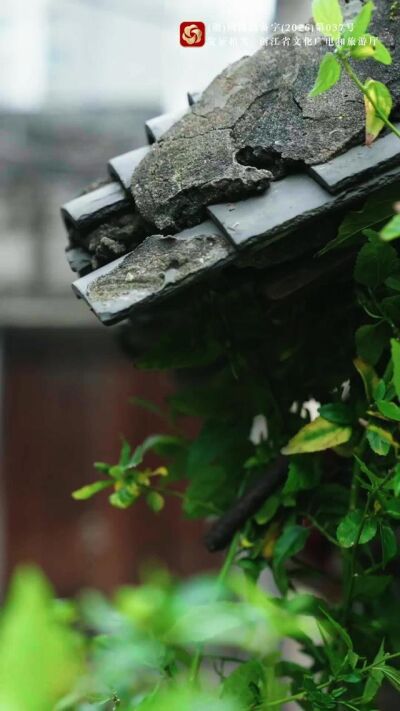 《长街商潮》剧照