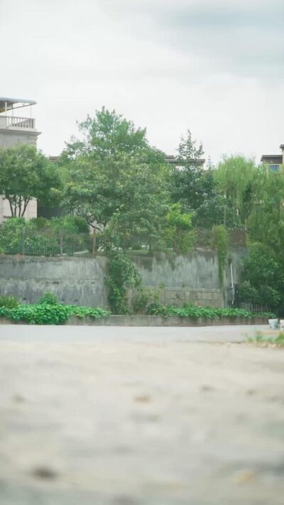 《一路长情》剧照