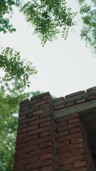 《暖阳归途》剧照