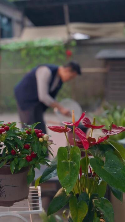 《垂竿向晚》劇照