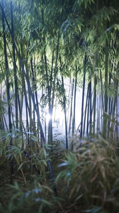 《神缘三度尽》剧照