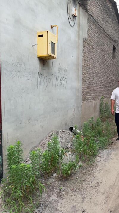 《天价孽债》剧照