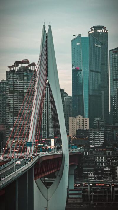 《港城江湖之见龙在田》剧照
