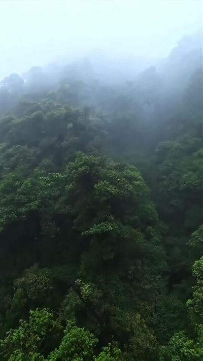 《鷹窠頂詭影》劇照