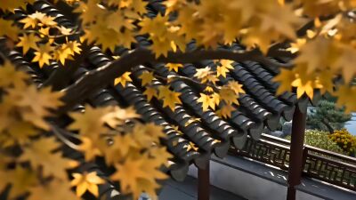 《四季》劇照
