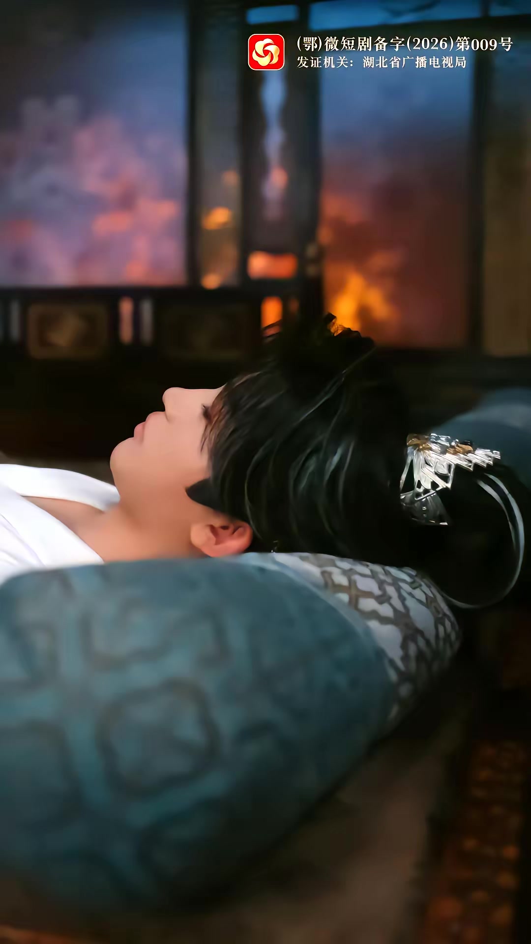 《枝頭春意鬧》劇照
