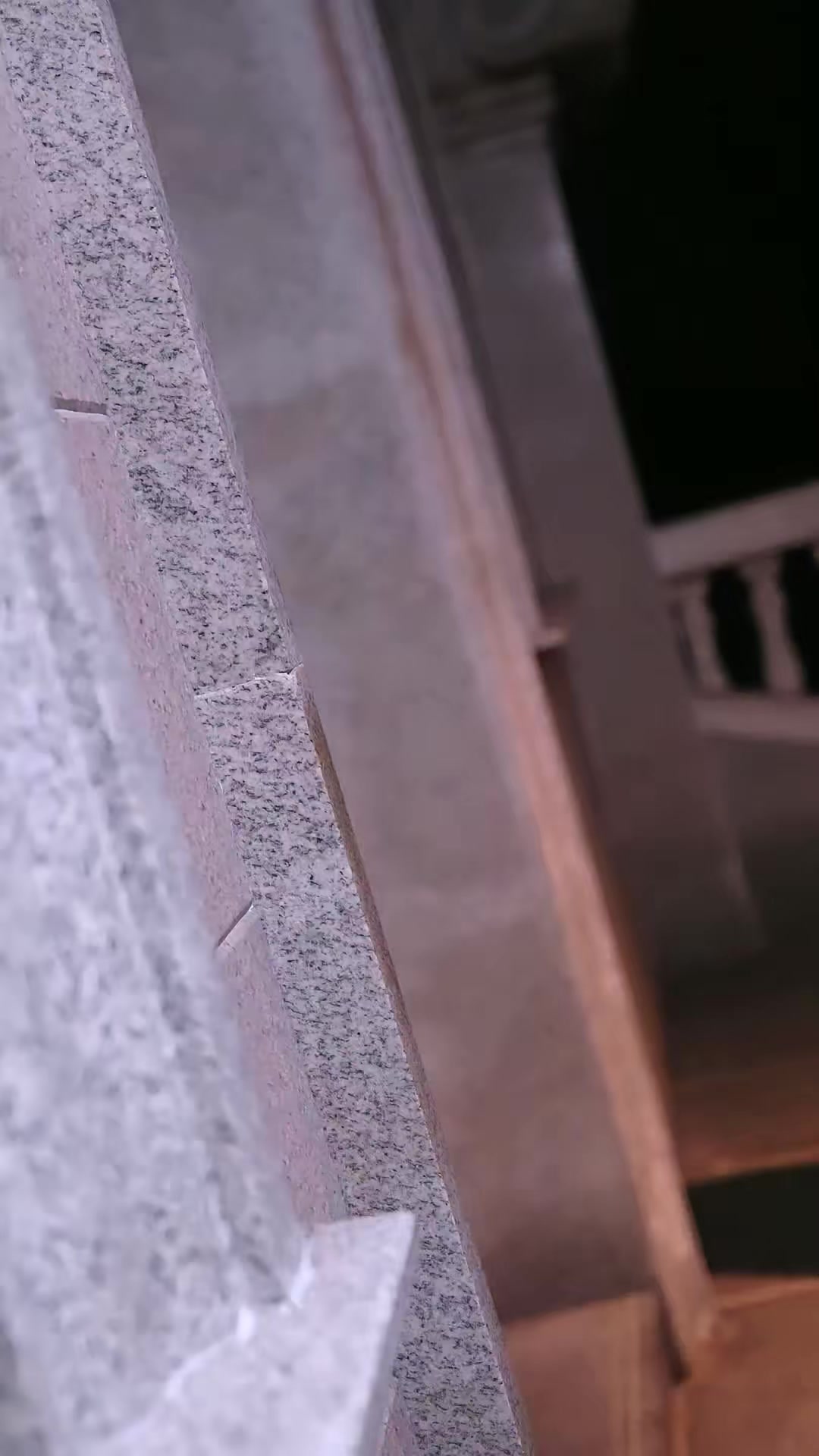 《美少妇携痞帅护宝智降群魔》剧照