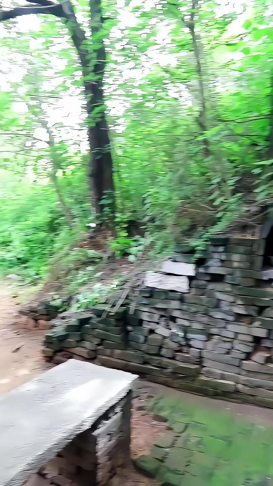 《凶狐》剧照
