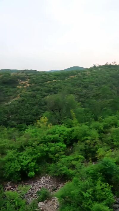 《兇狐》劇照