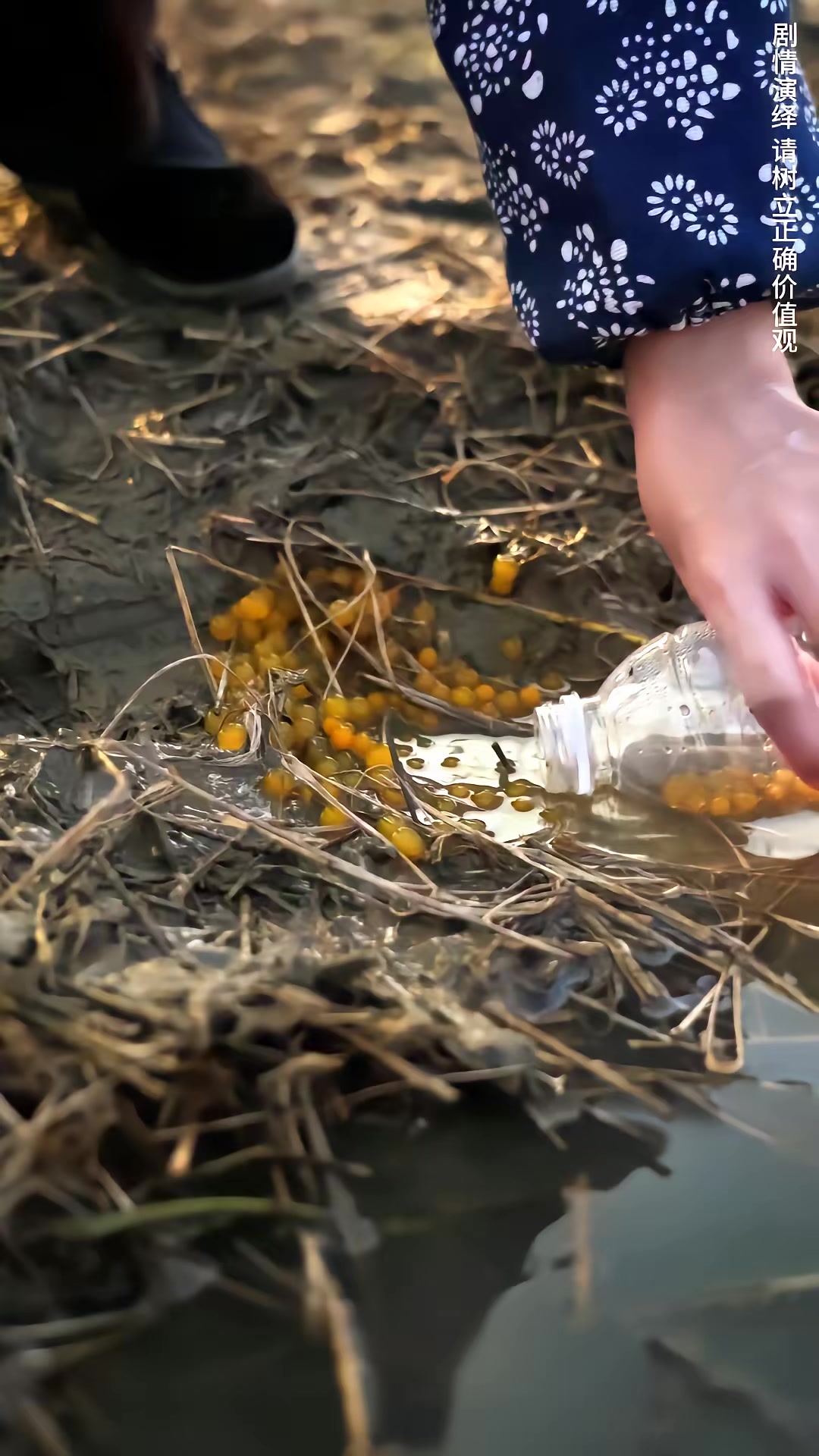 《鱔有善報》劇照