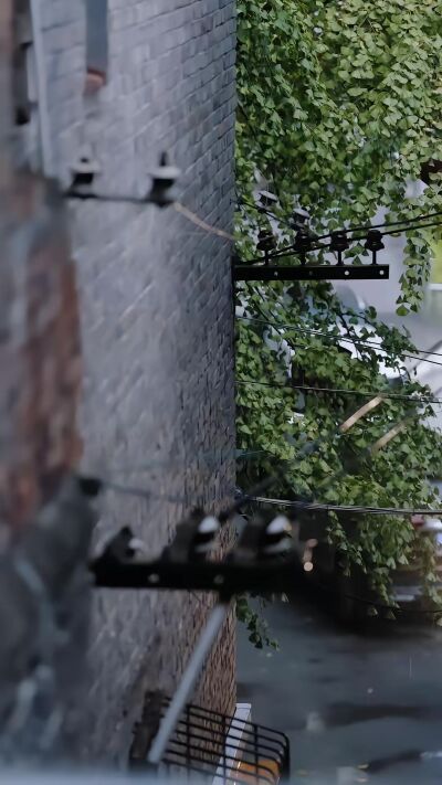 《下雨天》剧照