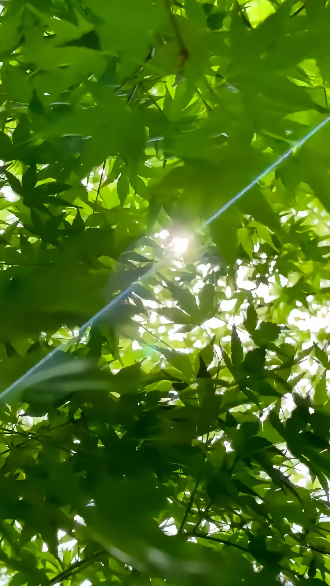 《癌症晚期離婚》劇照