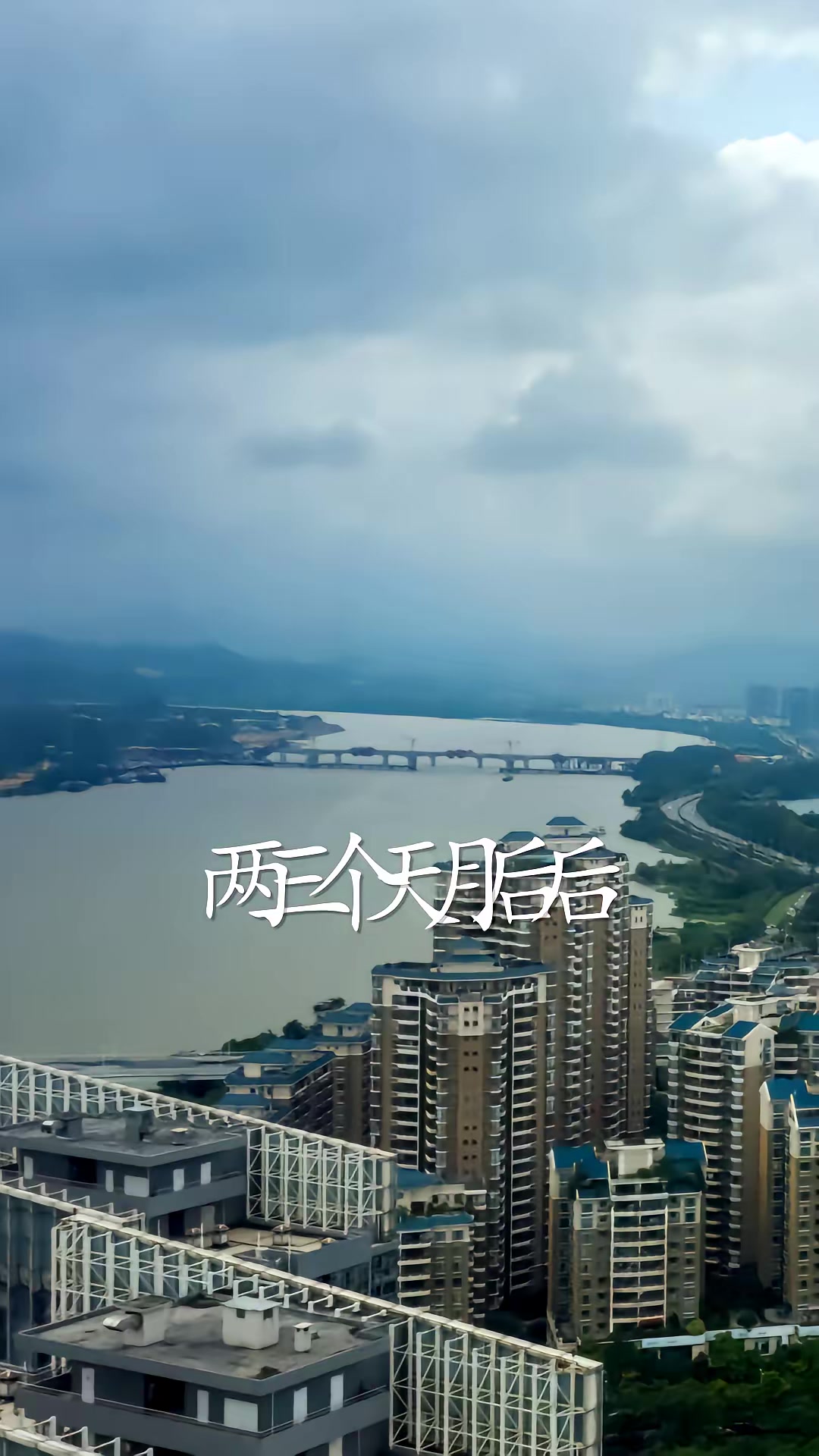 《暗金枭雄：开局踹翻恶组长》剧照