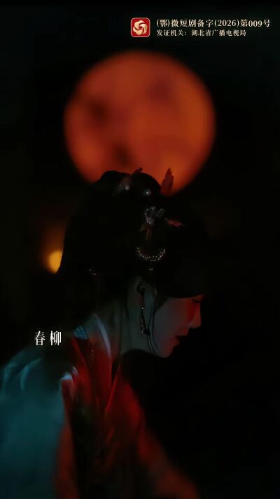 《枝頭春意鬧》劇照