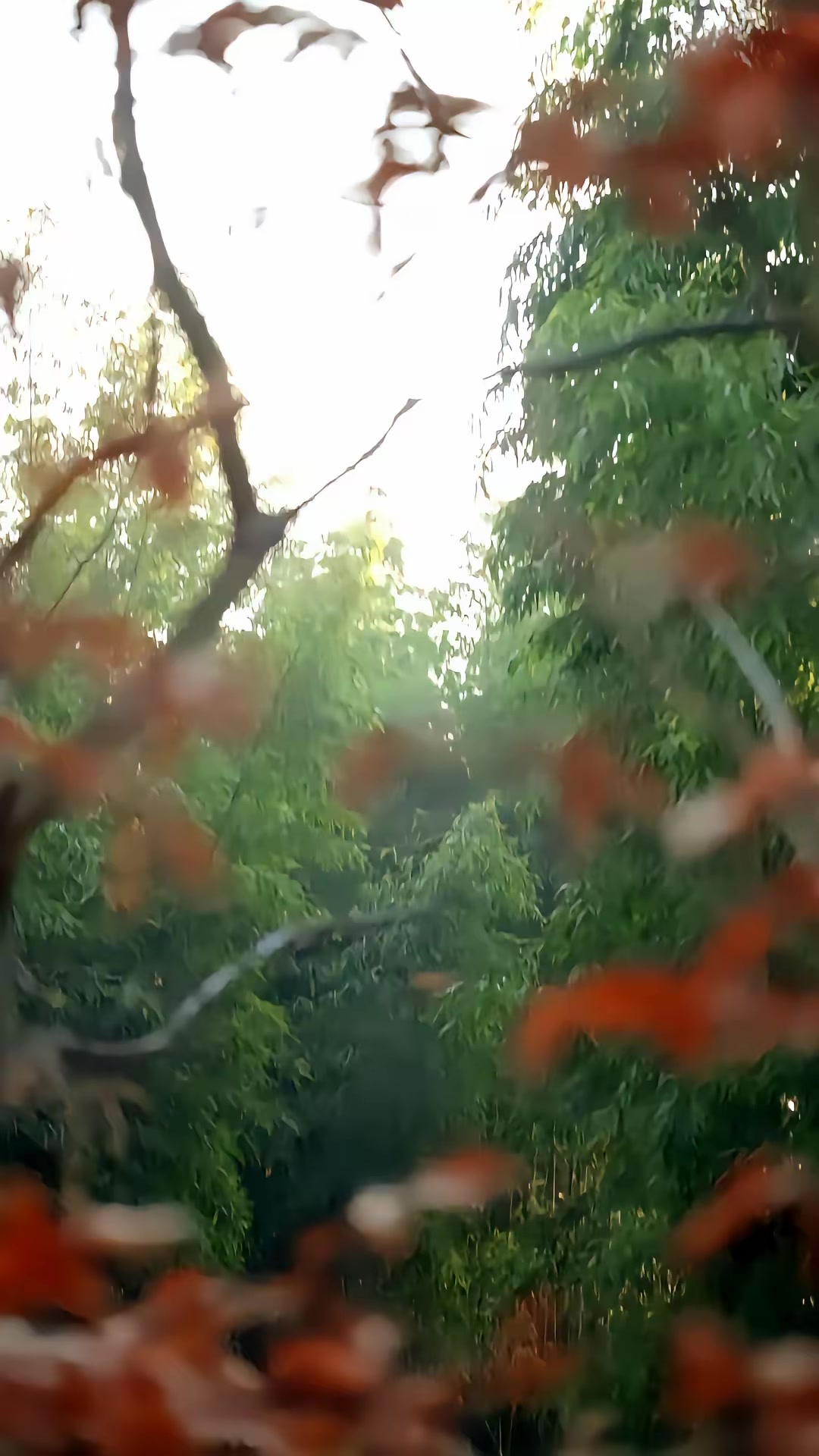 《地府嫡長女別惹，她捉鬼超兇》劇照