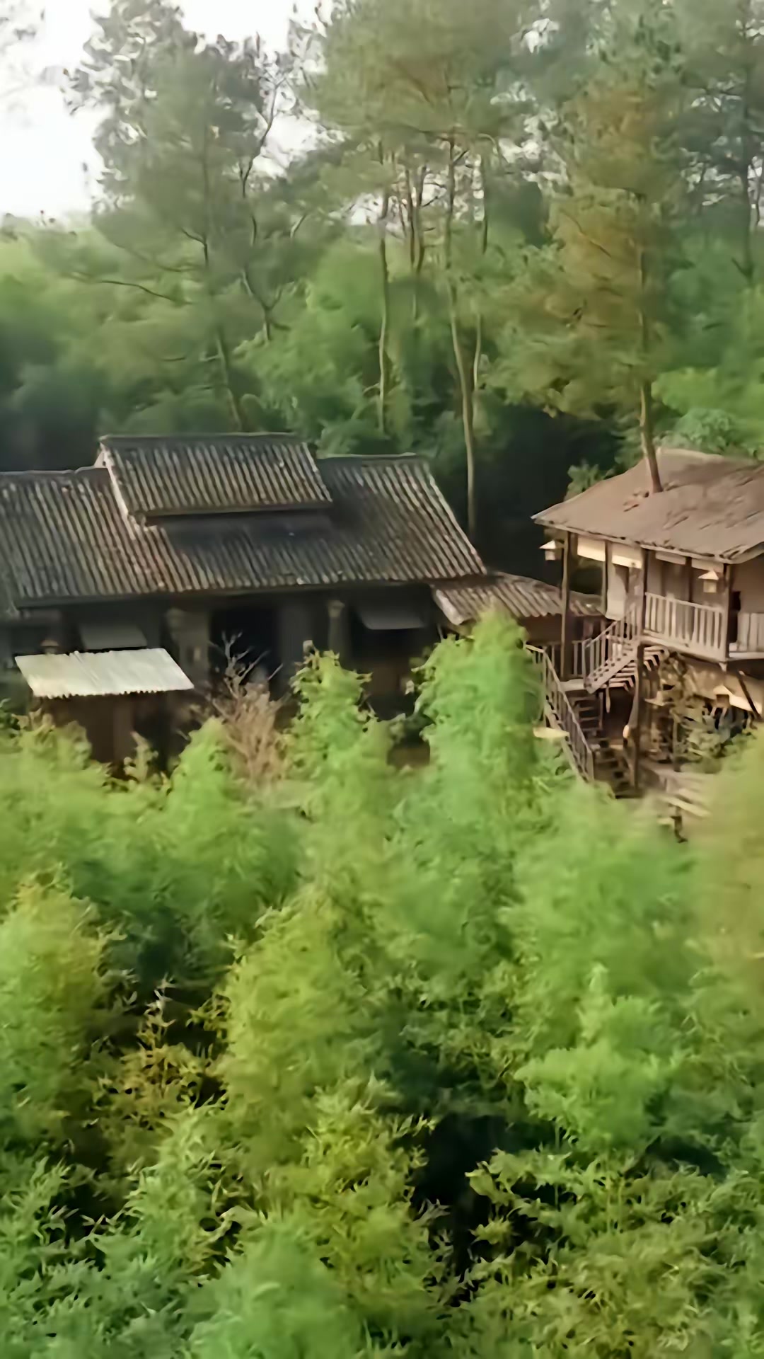 《什么白月光，我是他们的黑心莲》剧照