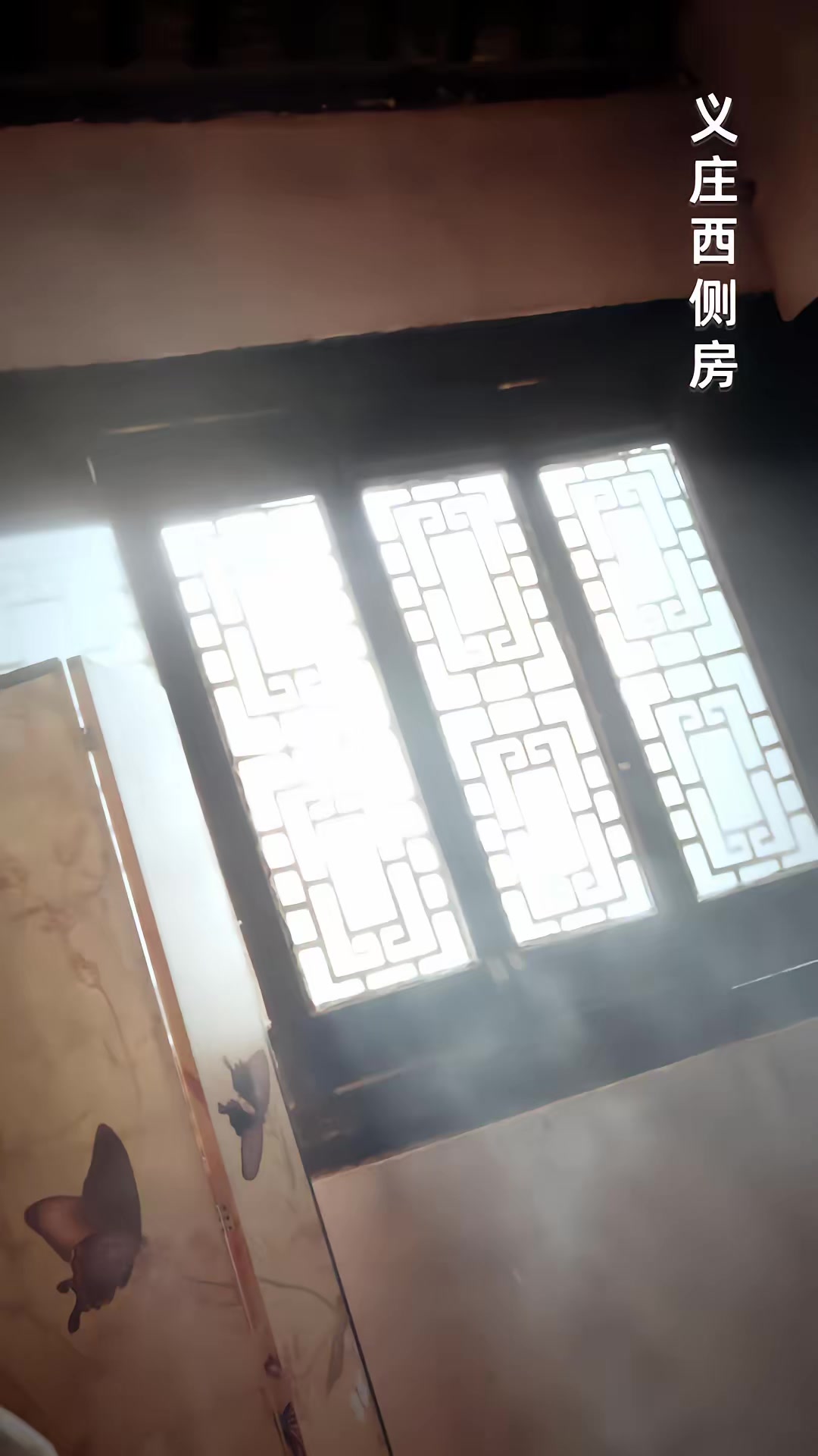 《僵尸世界，我收僵尸就变强》剧照