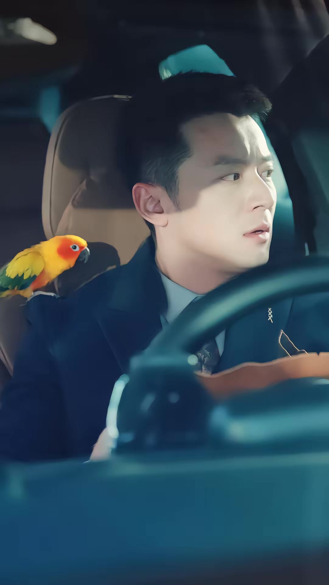 《我孫子怎麼成鸚鵡了》劇照