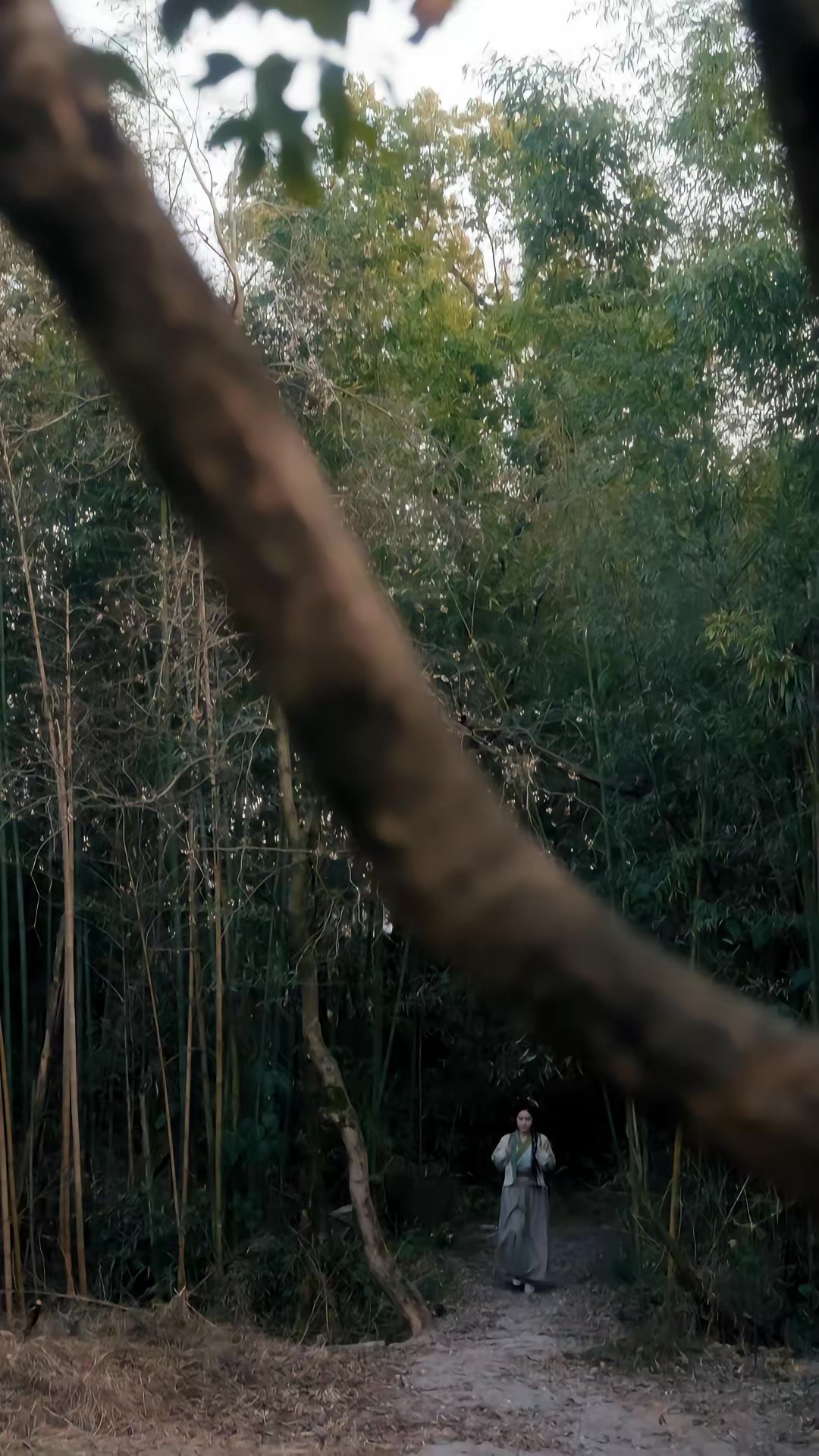 《我死後，女帝徒弟都淚崩了》劇照
