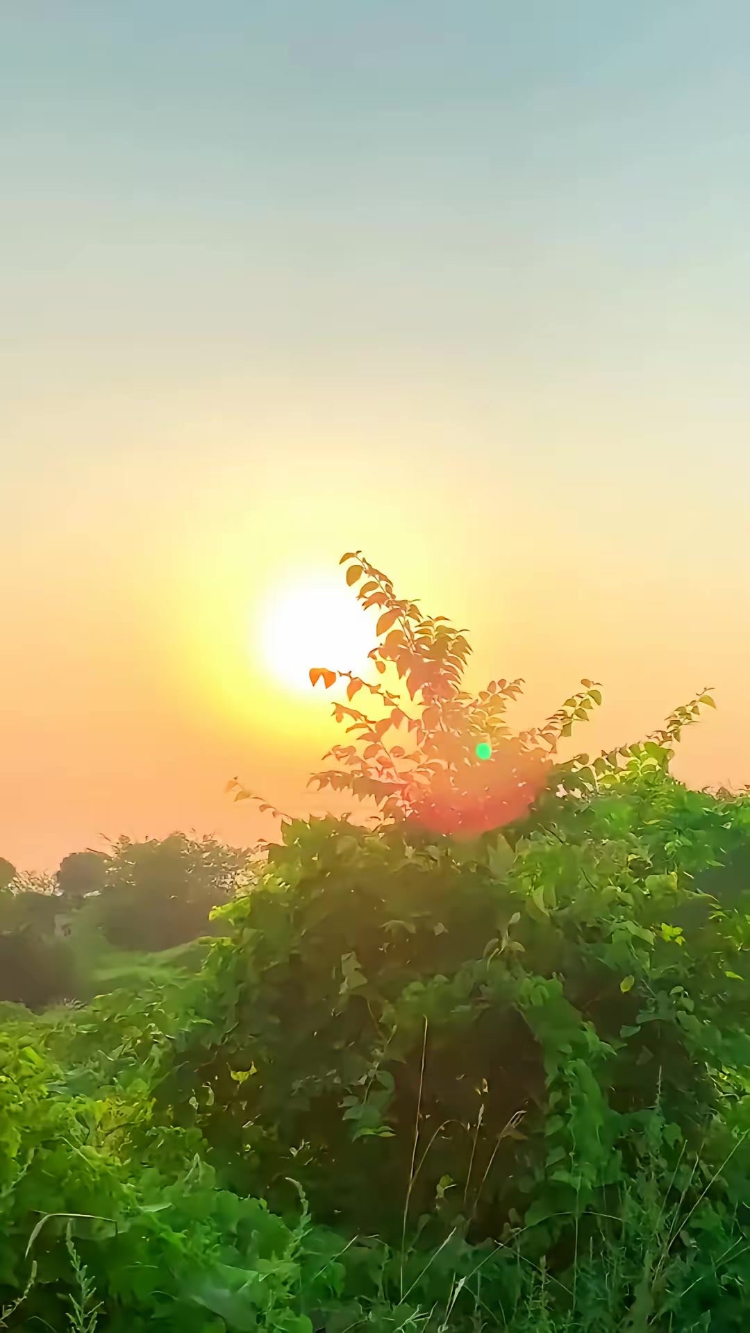 《狐闹》剧照