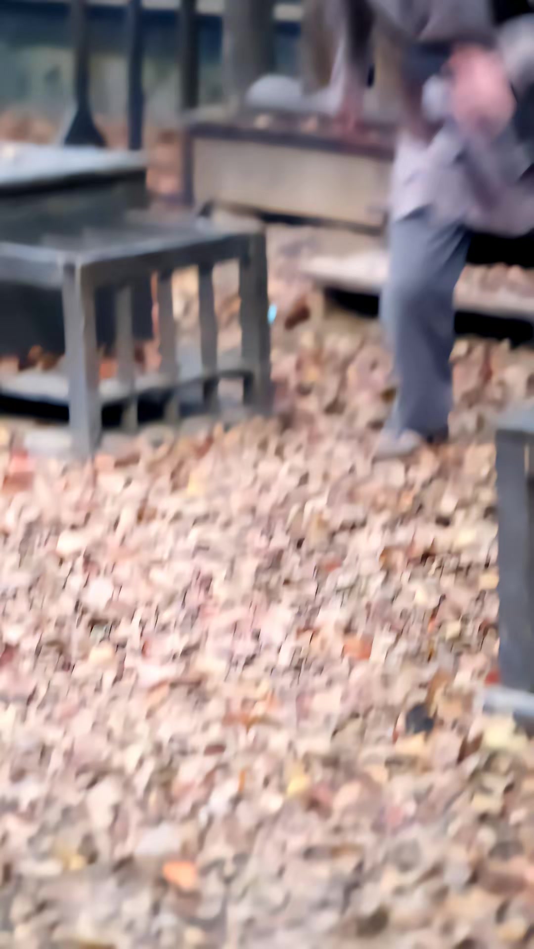 《亂世荒年：我帶紅顏糧肉滿倉》劇照