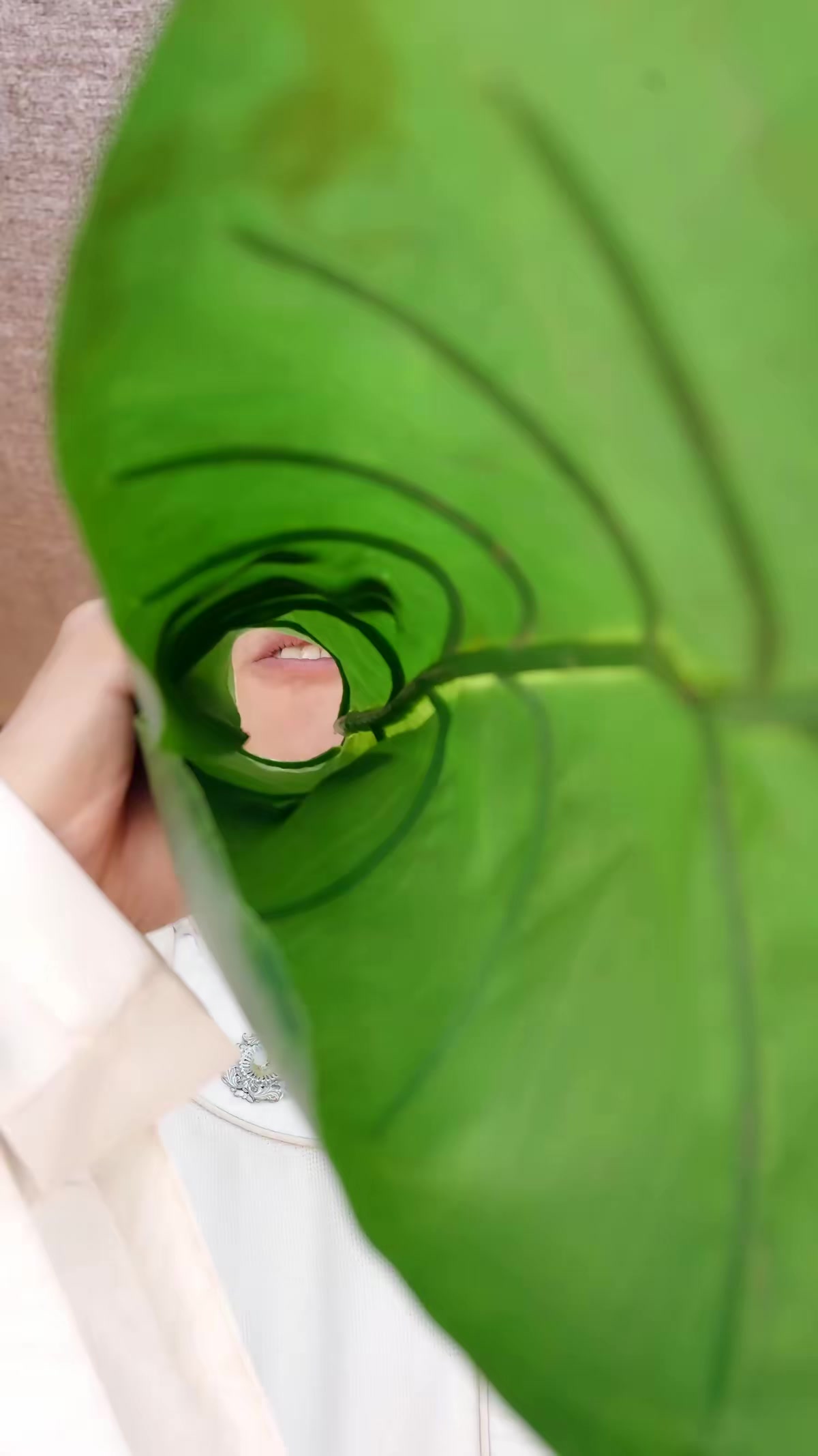 《让你管徭役，你白粥榨菜管够》剧照