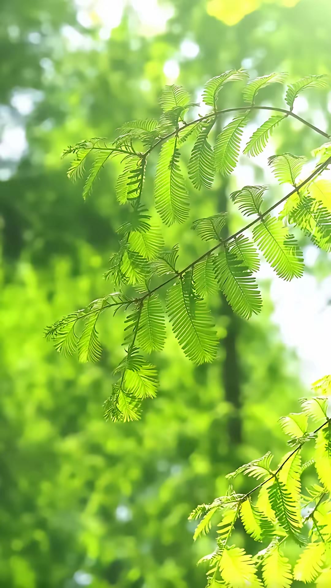 《暴雨驚魂夜》劇照