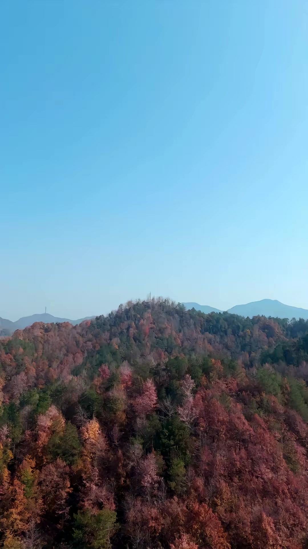 《我欲成仙》剧照