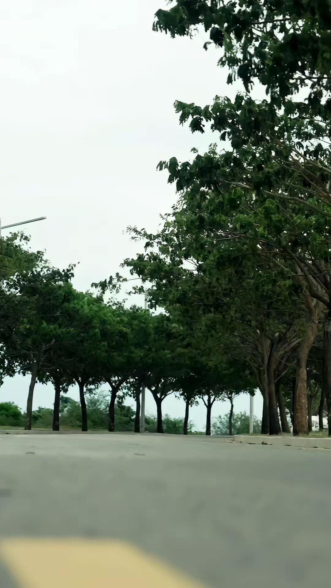 《暗巷回聲》劇照