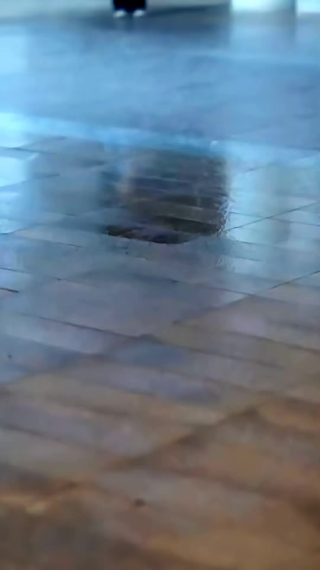 《梔映星辰》劇照