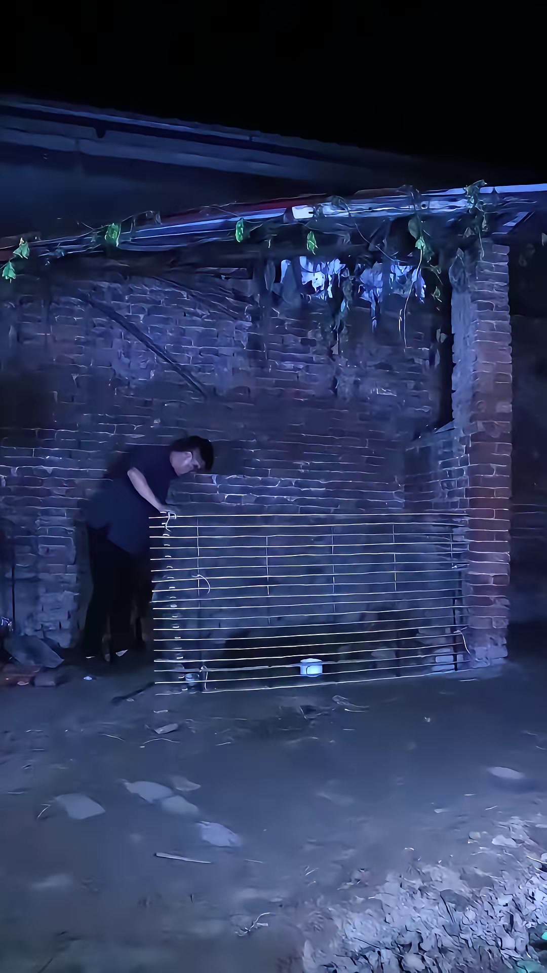 《凶狐》剧照