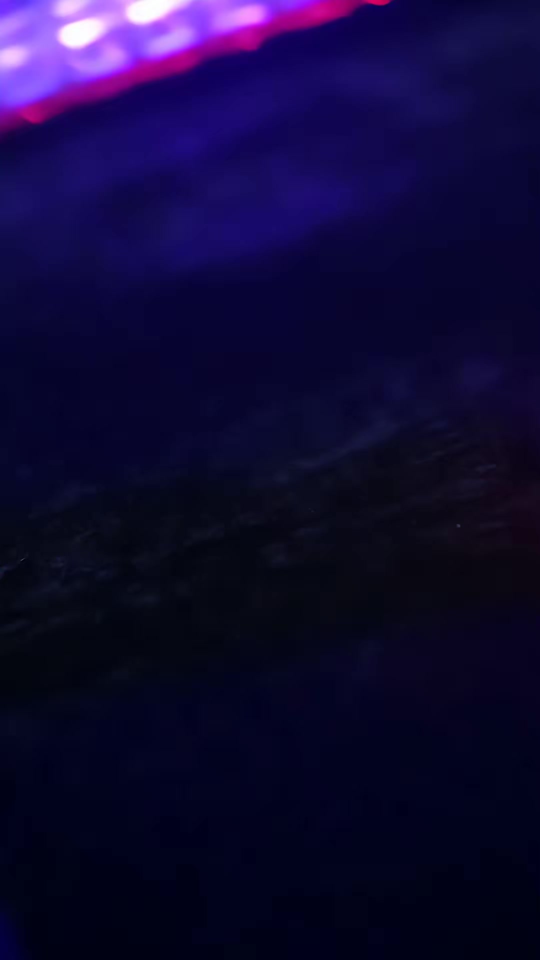 《美少妇携痞帅护宝智降群魔》剧照