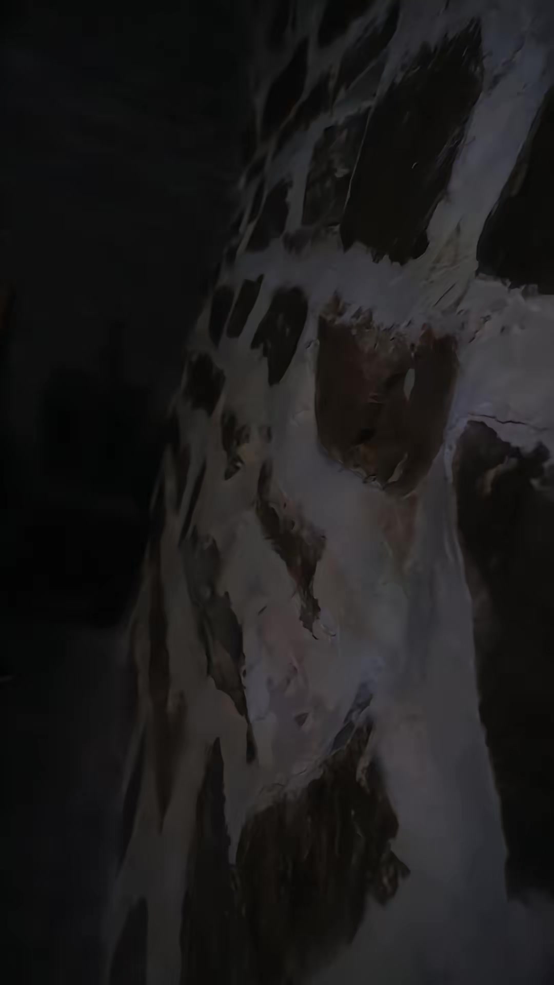 《兔災》劇照