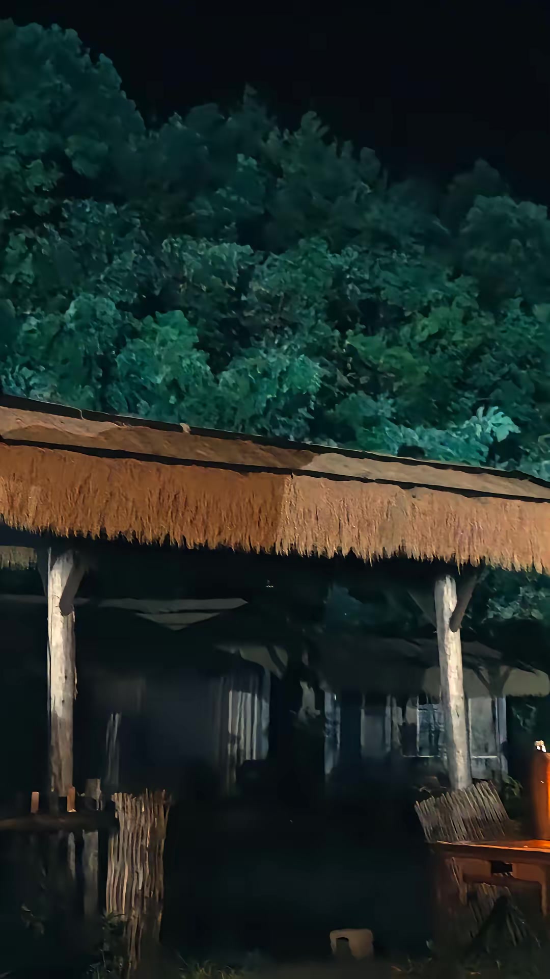 《重生北地，我赶山养全家》剧照