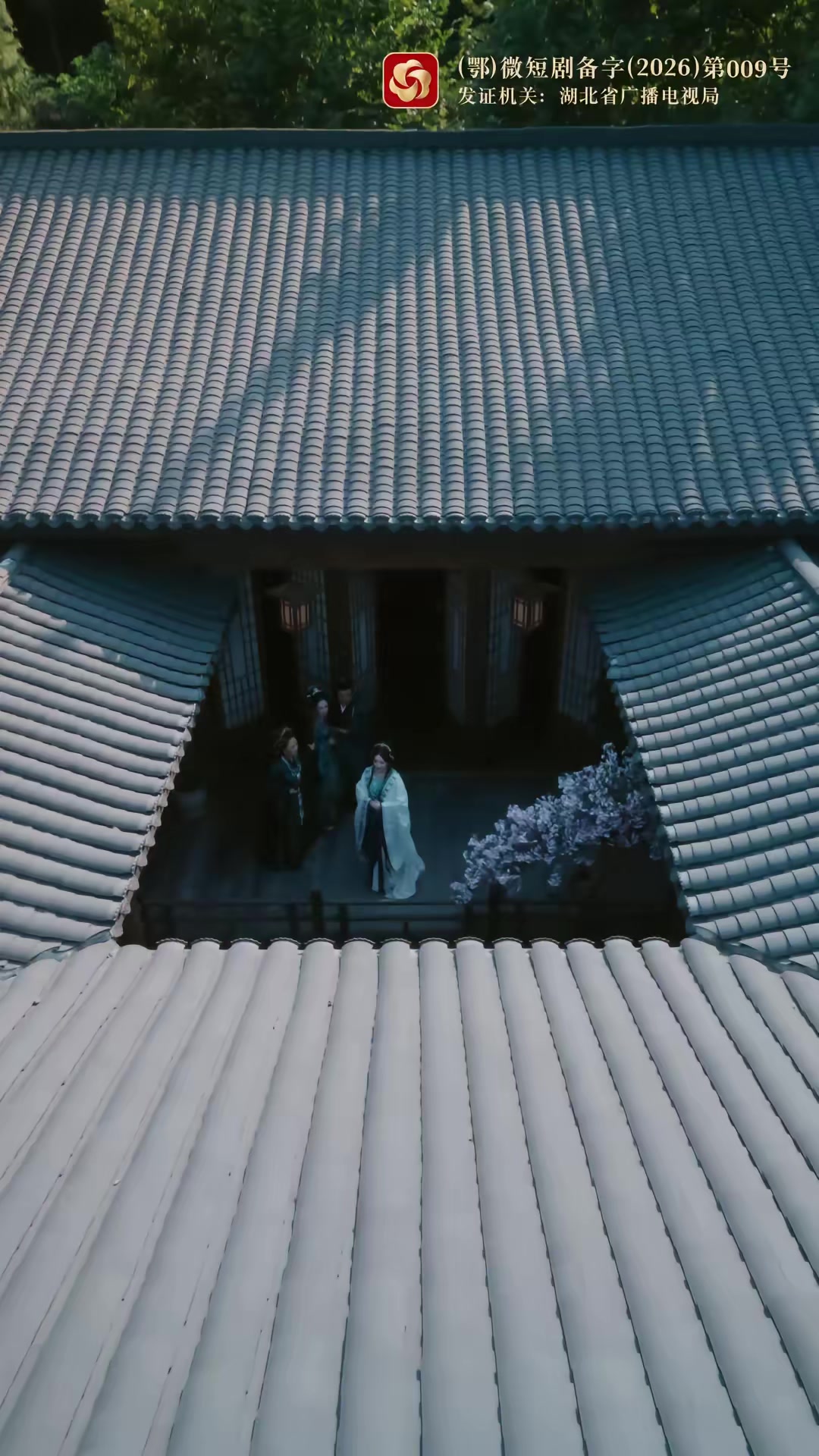《枝頭春意鬧》劇照