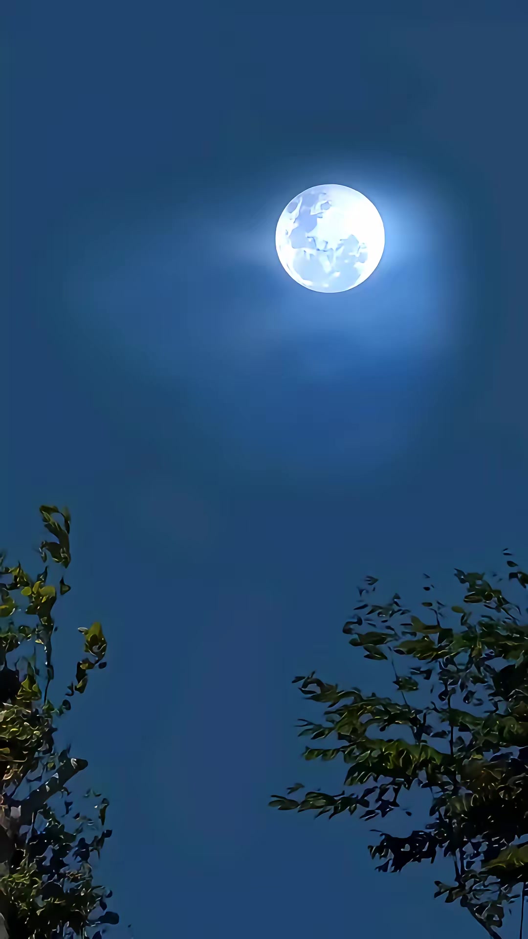 《狐闹》剧照