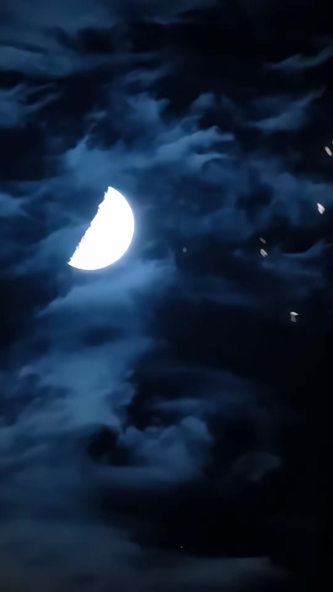 《我欲成仙》剧照