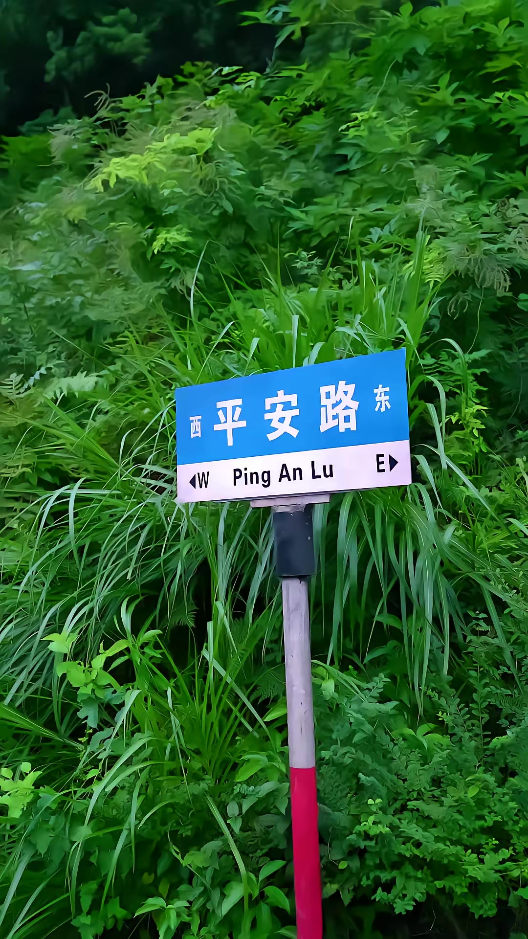 《心願擺渡人》劇照
